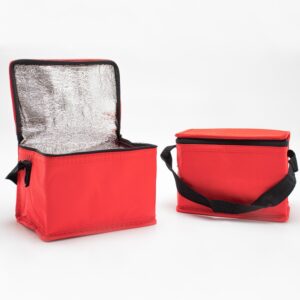 Bolsa térmica em TNT 5 litros personalizada